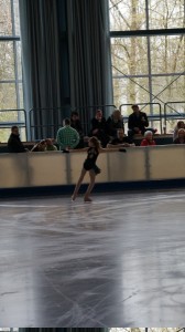 v13_freilaeufer_ele_b02